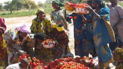 sahel-photo_women-day_legende_1