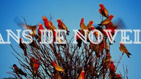 438691656_368851149455412_8089069480016830280_n