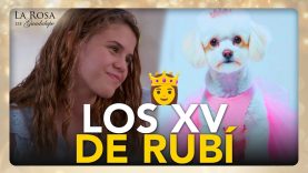 ¡Rubí es su PERRHIJA y le organizan TREMENDA FIESTA de XV años!