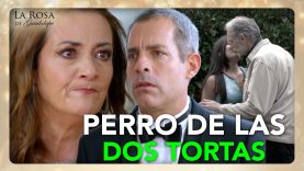 Diego planea CASARSE con su VEINTEAÑERA y dejar en la calle a su ESPOSA